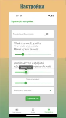 Английский разговорник Lite android App screenshot 5